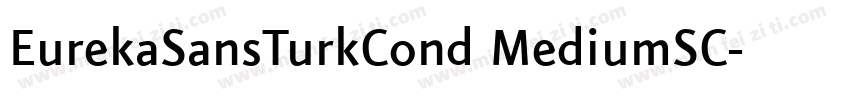 EurekaSansTurkCond MediumSC字体转换